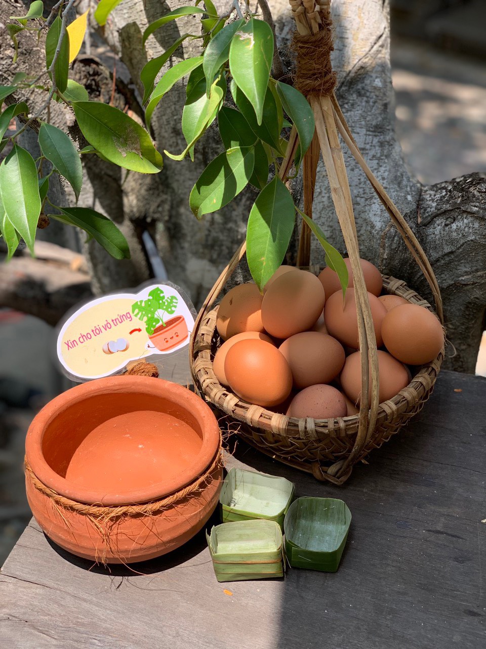 6e094c790ccfa391fade33